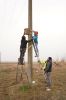 Installation of the nest boxes on the pylon_1
